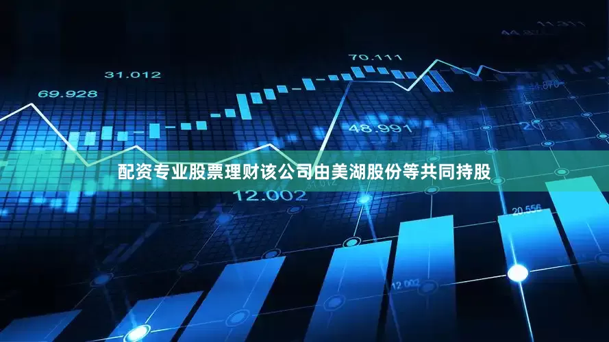 配资专业股票理财该公司由美湖股份等共同持股